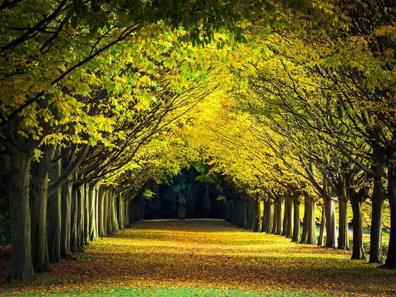 Cambridge University Botanic Garden