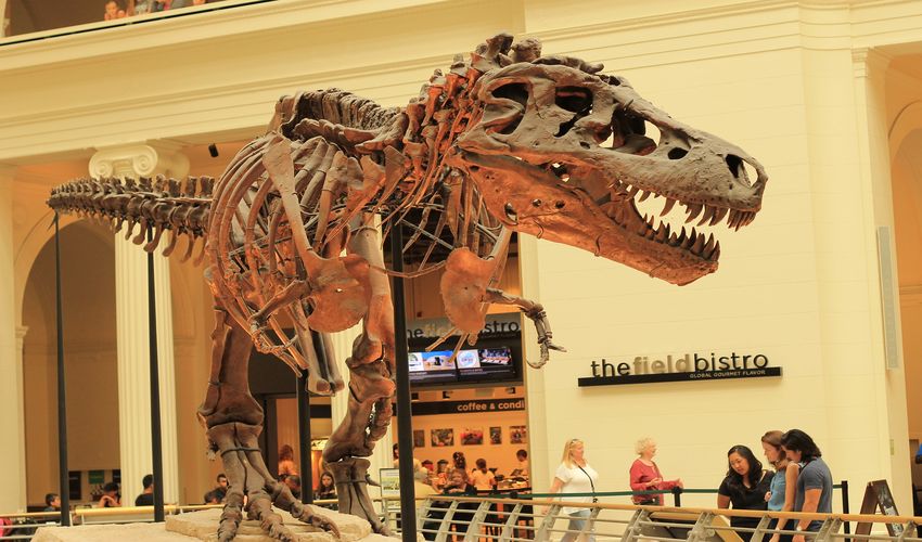 Field Museum