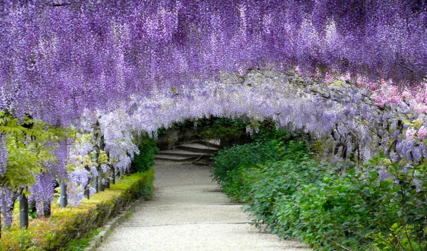 Giardino Bardini - Enchanted Bardini Gardens