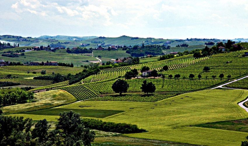 Agliano Term