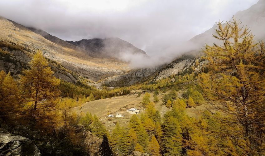 Cogne