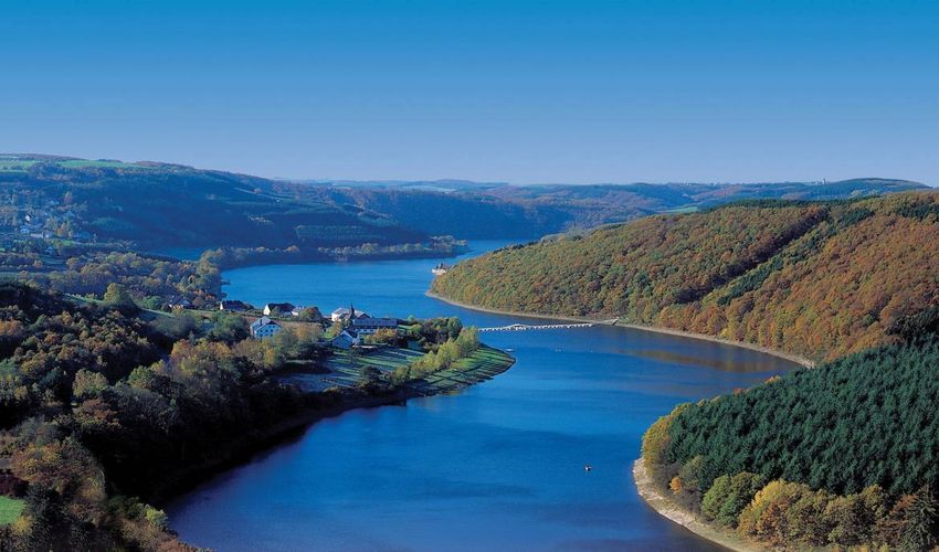 Insenborn