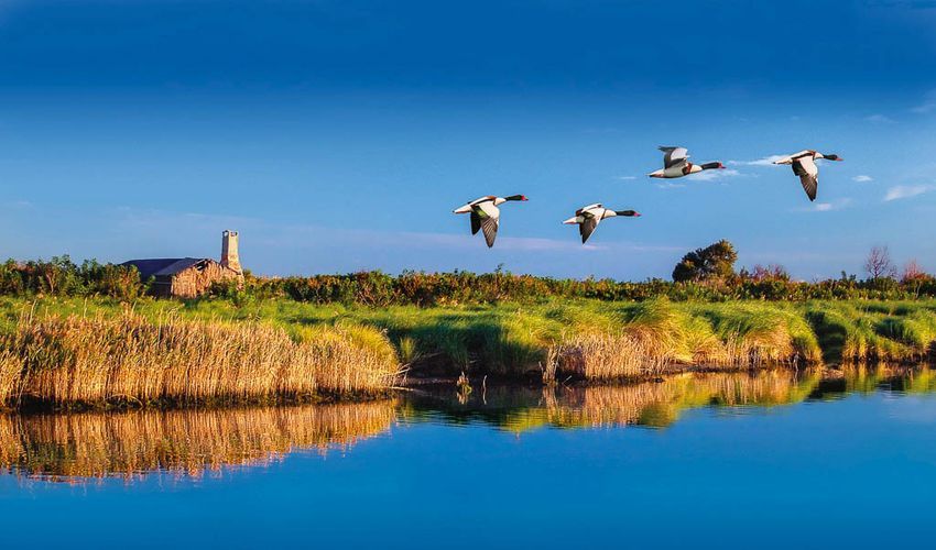 Po Delta Nature Park