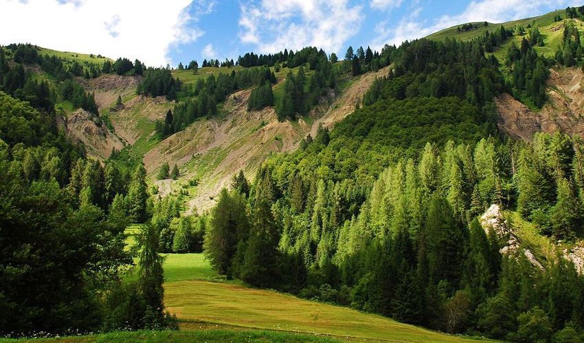 Regional Natural Park of the Friulian Dolomites