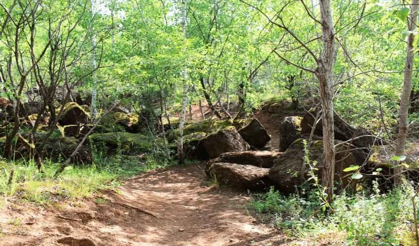 Nature Reserve Haard - Hesselsbierg - Staebierg