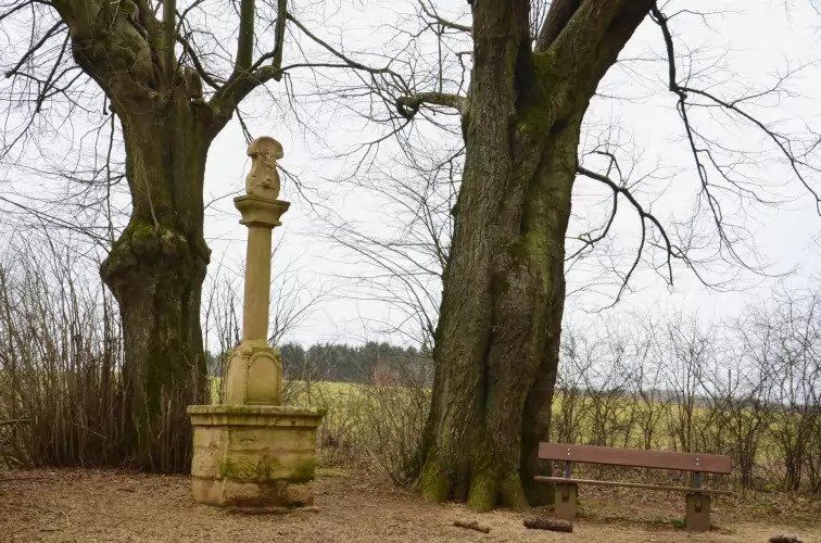 Auto-Pédestre trail