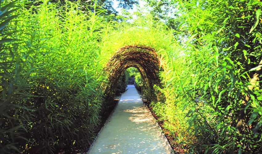 Jardin de Wiltz