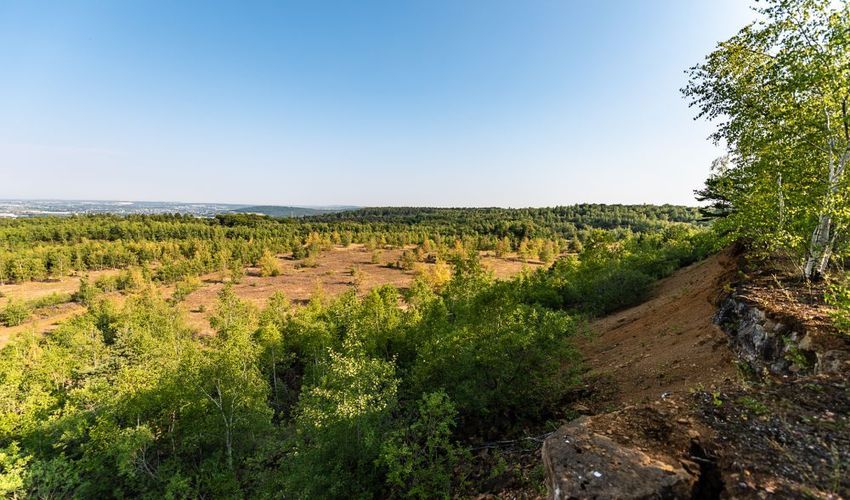 Nature Reserve Prënzebierg–Giele Botter