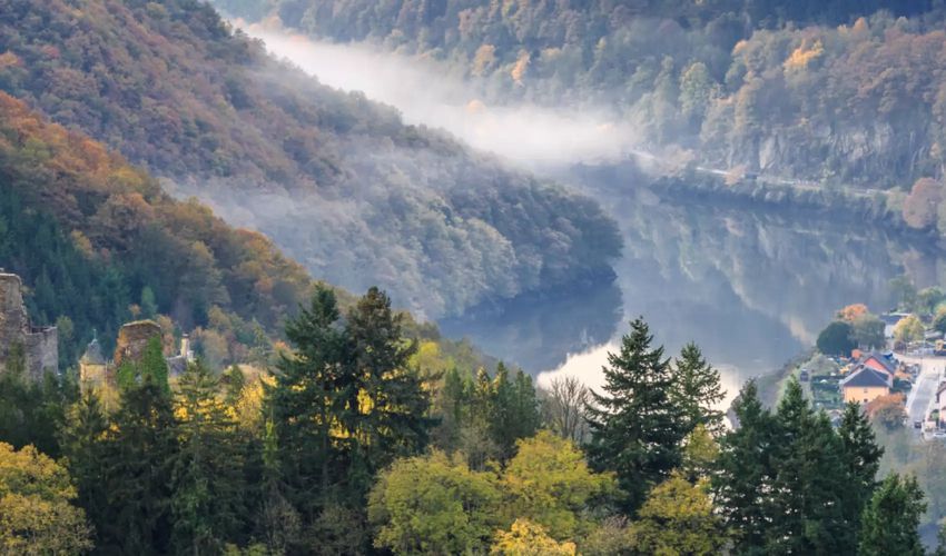Our Nature Park