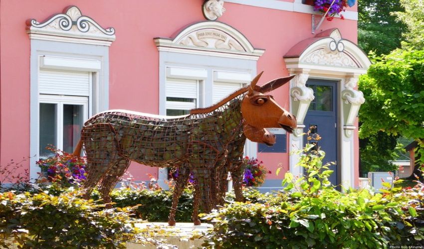 Donkey Mascot