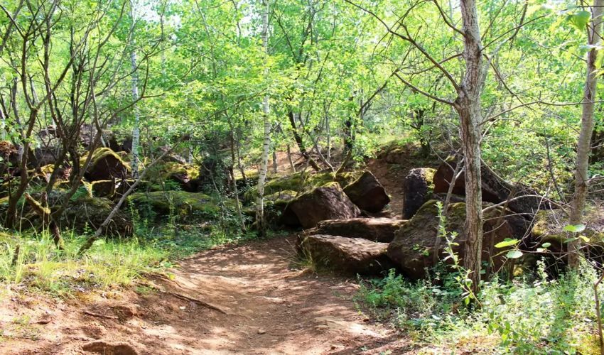 Haardt Nature Reserve