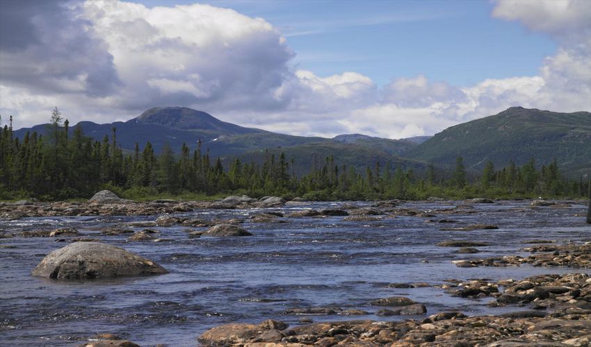 Mealy Mountains National Park Reserve