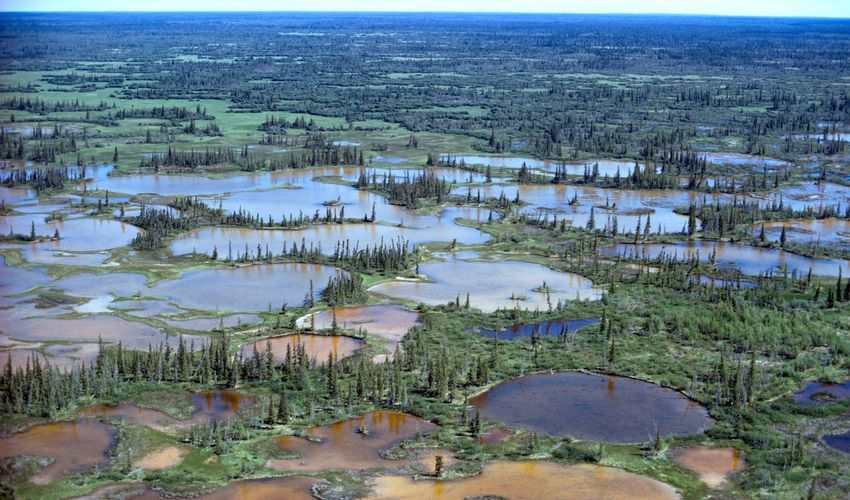 Wood Buffalo National Park