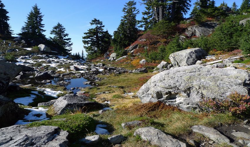 Mount Seymour Provincial Park