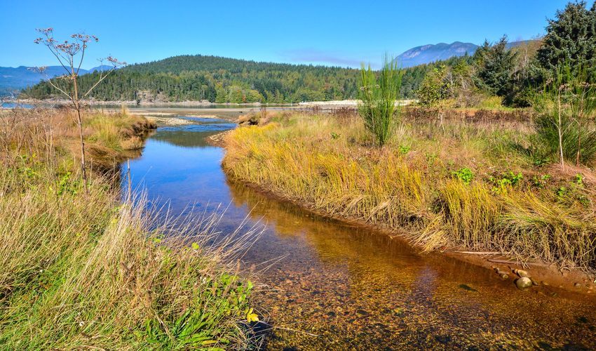 Porpoise Bay Provincial Park