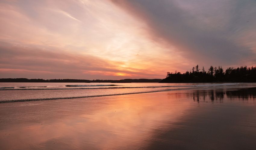 Tofino
