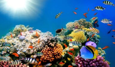 Top 20 Aquariums and Marine Parks in Australia