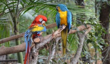 Australia’s Top 20 Zoos and Wildlife Exhibition Centers