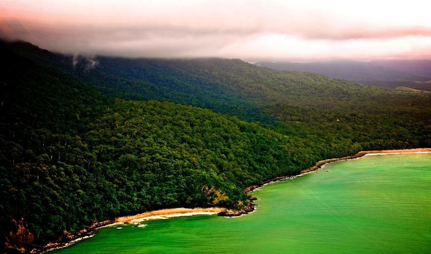 Daintree Rainforest