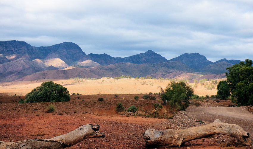 Flinders Ranges National Park