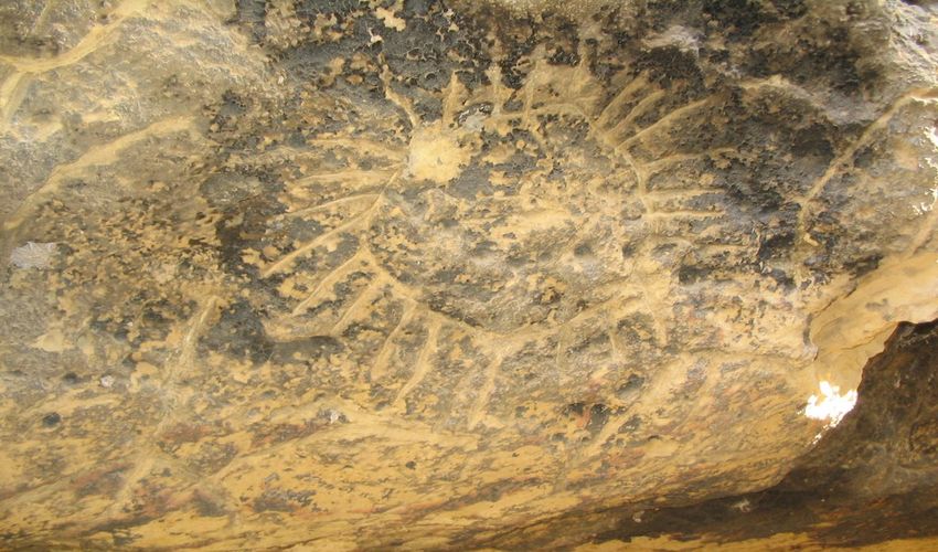 Ngaut Ngaut Conservation Park