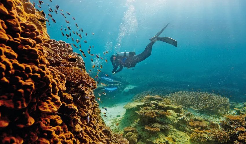 The Great Barrier Reef, Queensland